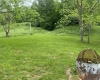411 Cap Run Road, Walkersville, West Virginia 26447, ,Lots/land,For Sale,Cap Run,10159633