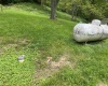 411 Cap Run Road, Walkersville, West Virginia 26447, ,Lots/land,For Sale,Cap Run,10159633