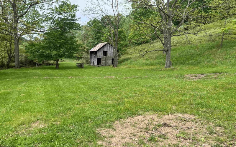 411 Cap Run Road, Walkersville, West Virginia 26447, ,Lots/land,For Sale,Cap Run,10159633