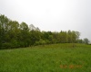 0 High Mountain Road, Harman, West Virginia 26270, ,Lots/land,For Sale,High Mountain,10159636