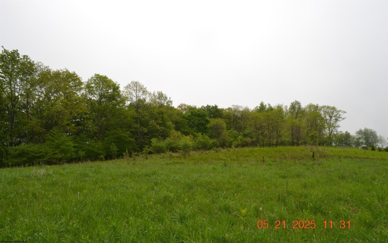 0 High Mountain Road, Harman, West Virginia 26270, ,Lots/land,For Sale,High Mountain,10159636