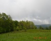 0 High Mountain Road, Harman, West Virginia 26270, ,Lots/land,For Sale,High Mountain,10159636