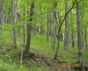 0 High Mountain Road, Harman, West Virginia 26270, ,Lots/land,For Sale,High Mountain,10159636