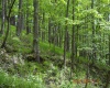 0 High Mountain Road, Harman, West Virginia 26270, ,Lots/land,For Sale,High Mountain,10159636
