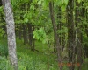 0 High Mountain Road, Harman, West Virginia 26270, ,Lots/land,For Sale,High Mountain,10159636