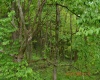 0 High Mountain Road, Harman, West Virginia 26270, ,Lots/land,For Sale,High Mountain,10159636