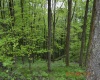 0 High Mountain Road, Harman, West Virginia 26270, ,Lots/land,For Sale,High Mountain,10159636