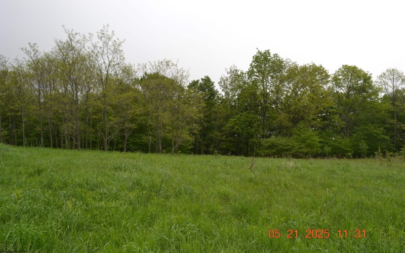0 High Mountain Road, Harman, West Virginia 26270, ,Lots/land,For Sale,High Mountain,10159636