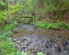 275 Possum Hollow Road, Terra Alta, West Virginia 26764, ,Lots/land,For Sale,Possum Hollow,10159625