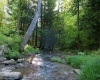 275 Possum Hollow Road, Terra Alta, West Virginia 26764, ,Lots/land,For Sale,Possum Hollow,10159625
