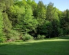 275 Possum Hollow Road, Terra Alta, West Virginia 26764, ,Lots/land,For Sale,Possum Hollow,10159625