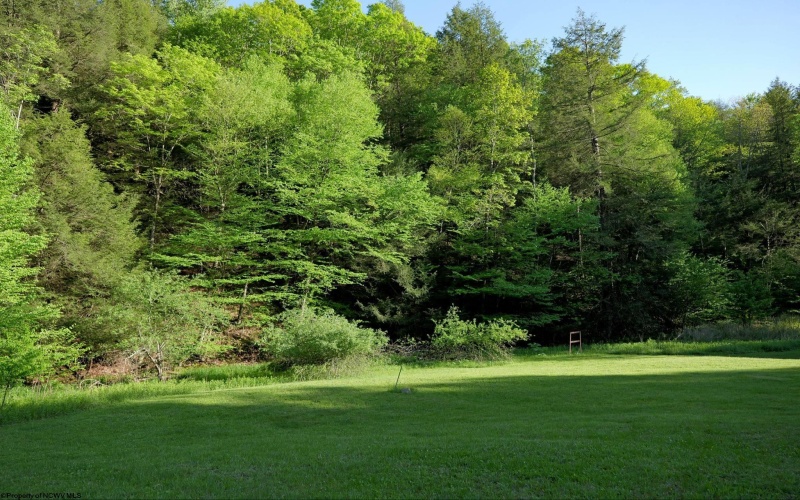 275 Possum Hollow Road, Terra Alta, West Virginia 26764, ,Lots/land,For Sale,Possum Hollow,10159625