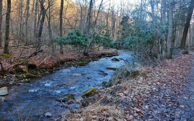 275 Possum Hollow Road, Terra Alta, West Virginia 26764, ,Lots/land,For Sale,Possum Hollow,10159625