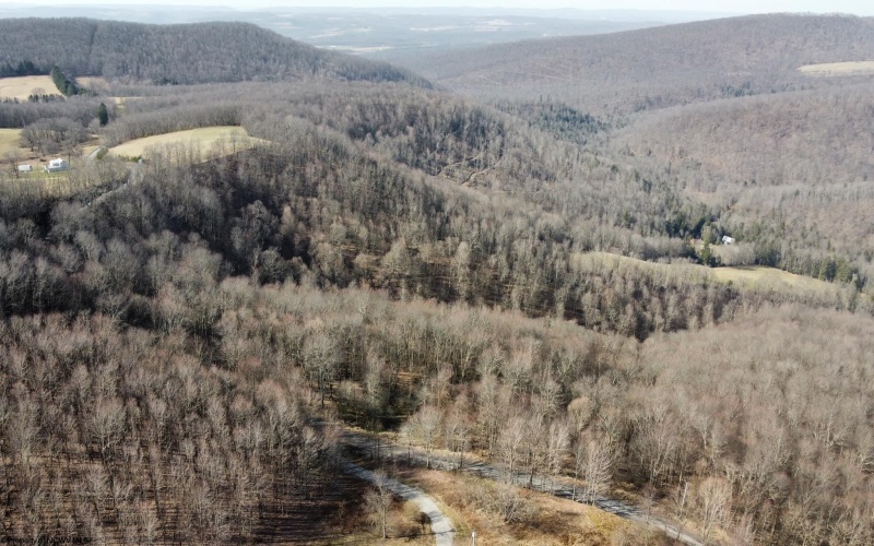 275 Possum Hollow Road, Terra Alta, West Virginia 26764, ,Lots/land,For Sale,Possum Hollow,10159625