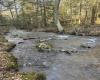 275 Possum Hollow Road, Terra Alta, West Virginia 26764, ,Lots/land,For Sale,Possum Hollow,10159625