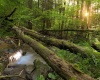 275 Possum Hollow Road, Terra Alta, West Virginia 26764, ,Lots/land,For Sale,Possum Hollow,10159625
