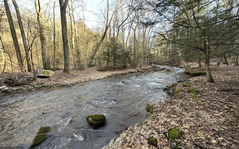 275 Possum Hollow Road, Terra Alta, West Virginia 26764, ,Lots/land,For Sale,Possum Hollow,10159625