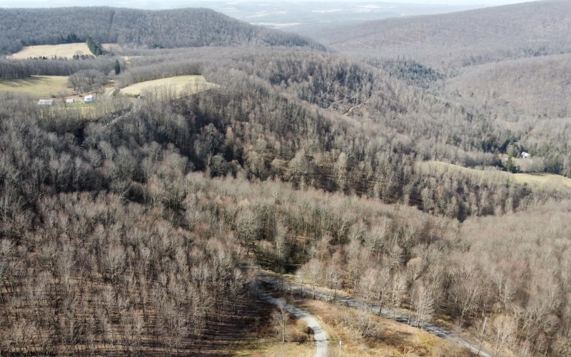 275 Possum Hollow Road, Terra Alta, West Virginia 26764, ,Lots/land,For Sale,Possum Hollow,10159625