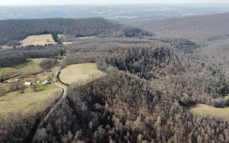 275 Possum Hollow Road, Terra Alta, West Virginia 26764, ,Lots/land,For Sale,Possum Hollow,10159625