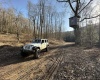 275 Possum Hollow Road, Terra Alta, West Virginia 26764, ,Lots/land,For Sale,Possum Hollow,10159625