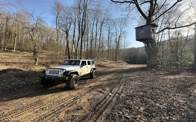 275 Possum Hollow Road, Terra Alta, West Virginia 26764, ,Lots/land,For Sale,Possum Hollow,10159625