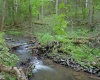 275 Possum Hollow Road, Terra Alta, West Virginia 26764, ,Lots/land,For Sale,Possum Hollow,10159625