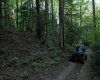 275 Possum Hollow Road, Terra Alta, West Virginia 26764, ,Lots/land,For Sale,Possum Hollow,10159625