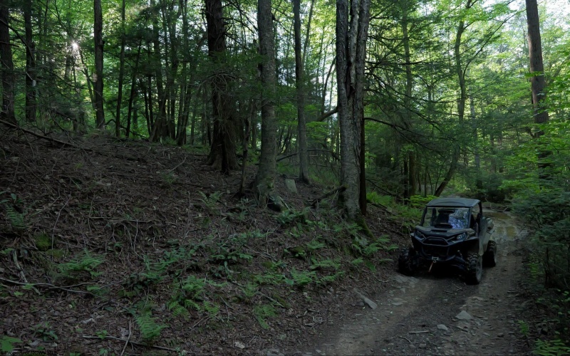 275 Possum Hollow Road, Terra Alta, West Virginia 26764, ,Lots/land,For Sale,Possum Hollow,10159625