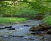 275 Possum Hollow Road, Terra Alta, West Virginia 26764, ,Lots/land,For Sale,Possum Hollow,10159625