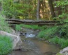 275 Possum Hollow Road, Terra Alta, West Virginia 26764, ,Lots/land,For Sale,Possum Hollow,10159625