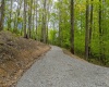 120 Laurel Loop, Bruceton Mills, West Virginia 26525, ,Lots/land,For Sale,Laurel,10159644