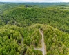 120 Laurel Loop, Bruceton Mills, West Virginia 26525, ,Lots/land,For Sale,Laurel,10159644