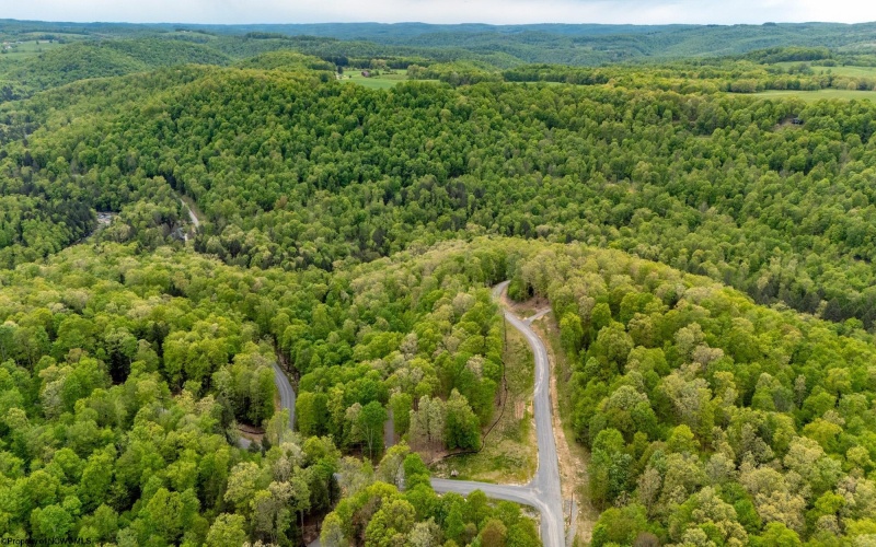 120 Laurel Loop, Bruceton Mills, West Virginia 26525, ,Lots/land,For Sale,Laurel,10159644
