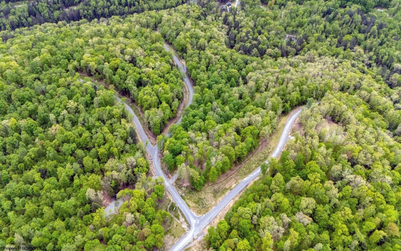 120 Laurel Loop, Bruceton Mills, West Virginia 26525, ,Lots/land,For Sale,Laurel,10159644