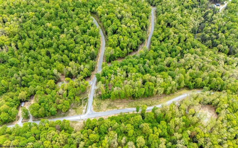 120 Laurel Loop, Bruceton Mills, West Virginia 26525, ,Lots/land,For Sale,Laurel,10159644