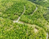 120 Laurel Loop, Bruceton Mills, West Virginia 26525, ,Lots/land,For Sale,Laurel,10159644