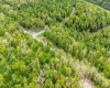 120 Laurel Loop, Bruceton Mills, West Virginia 26525, ,Lots/land,For Sale,Laurel,10159644