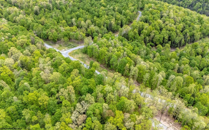 120 Laurel Loop, Bruceton Mills, West Virginia 26525, ,Lots/land,For Sale,Laurel,10159644