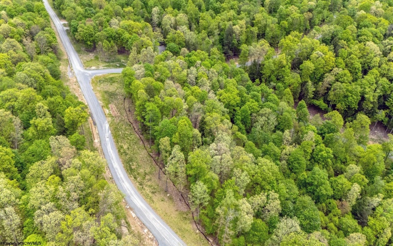 120 Laurel Loop, Bruceton Mills, West Virginia 26525, ,Lots/land,For Sale,Laurel,10159644