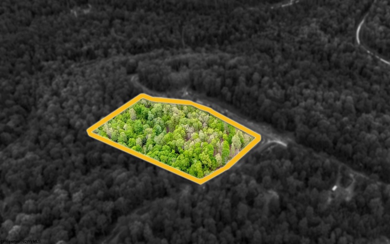 120 Laurel Loop, Bruceton Mills, West Virginia 26525, ,Lots/land,For Sale,Laurel,10159644