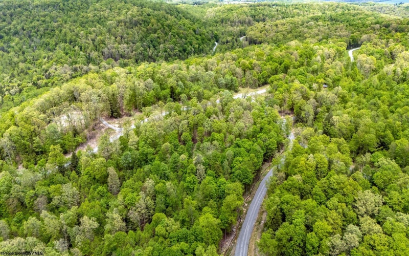 120 Laurel Loop, Bruceton Mills, West Virginia 26525, ,Lots/land,For Sale,Laurel,10159644