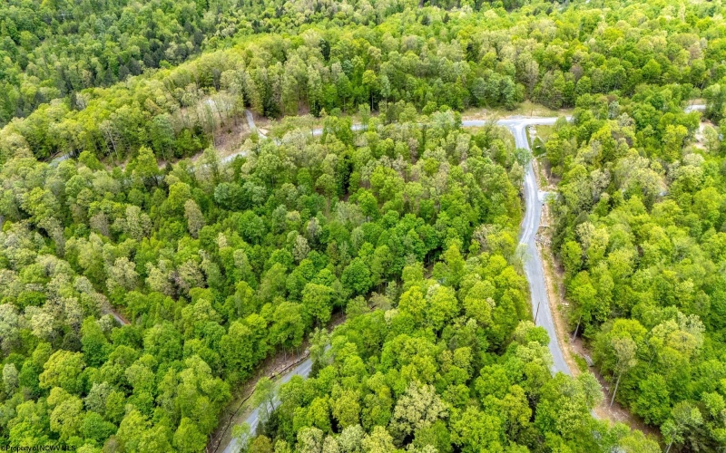120 Laurel Loop, Bruceton Mills, West Virginia 26525, ,Lots/land,For Sale,Laurel,10159644