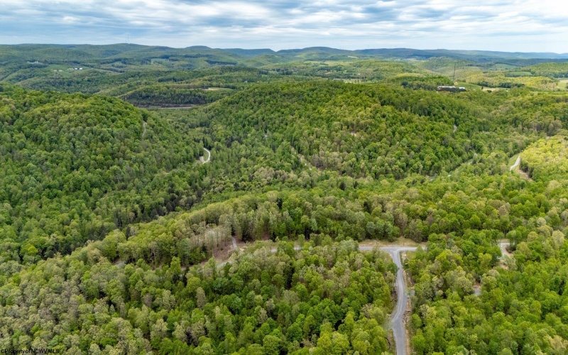 120 Laurel Loop, Bruceton Mills, West Virginia 26525, ,Lots/land,For Sale,Laurel,10159644