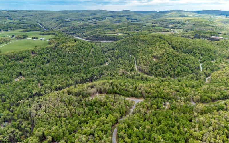 120 Laurel Loop, Bruceton Mills, West Virginia 26525, ,Lots/land,For Sale,Laurel,10159644
