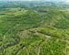120 Laurel Loop, Bruceton Mills, West Virginia 26525, ,Lots/land,For Sale,Laurel,10159644