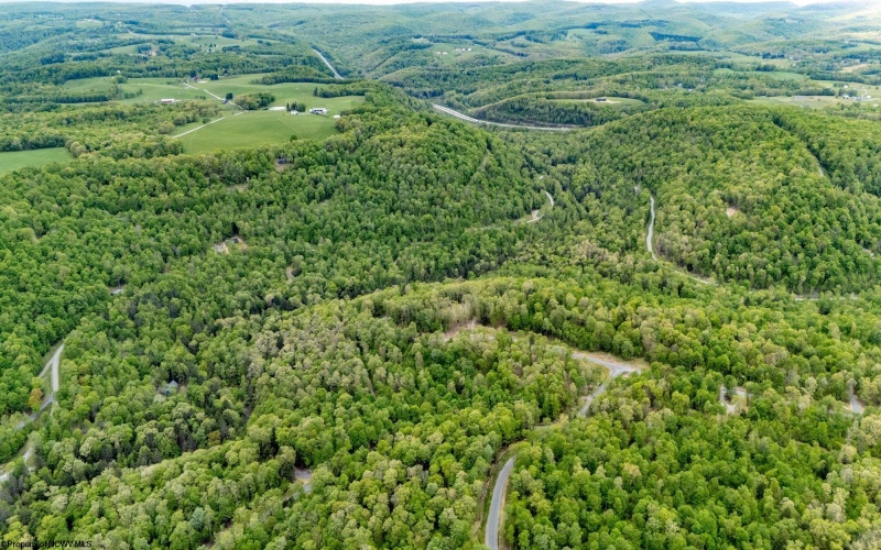 120 Laurel Loop, Bruceton Mills, West Virginia 26525, ,Lots/land,For Sale,Laurel,10159644