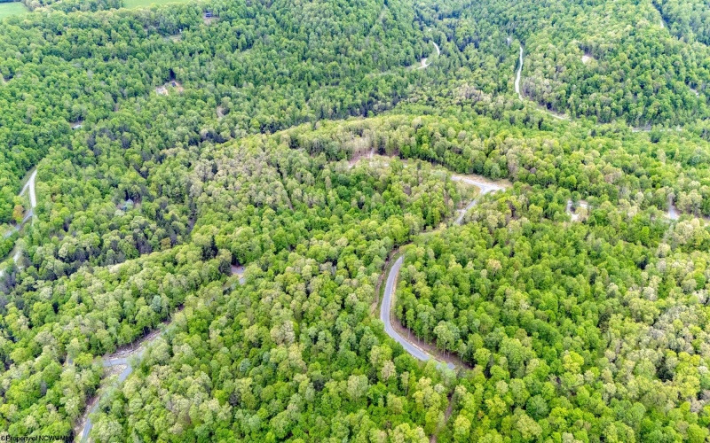 120 Laurel Loop, Bruceton Mills, West Virginia 26525, ,Lots/land,For Sale,Laurel,10159644
