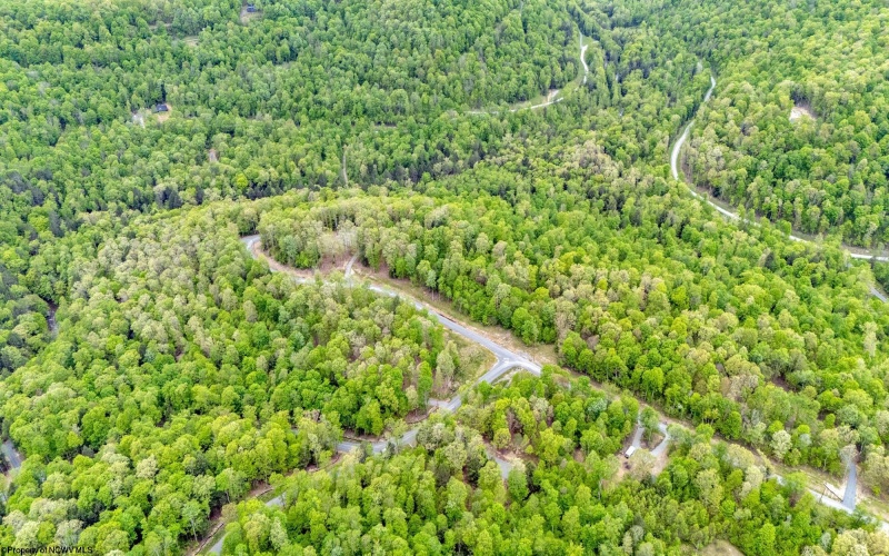 120 Laurel Loop, Bruceton Mills, West Virginia 26525, ,Lots/land,For Sale,Laurel,10159644