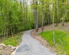 120 Laurel Loop, Bruceton Mills, West Virginia 26525, ,Lots/land,For Sale,Laurel,10159644