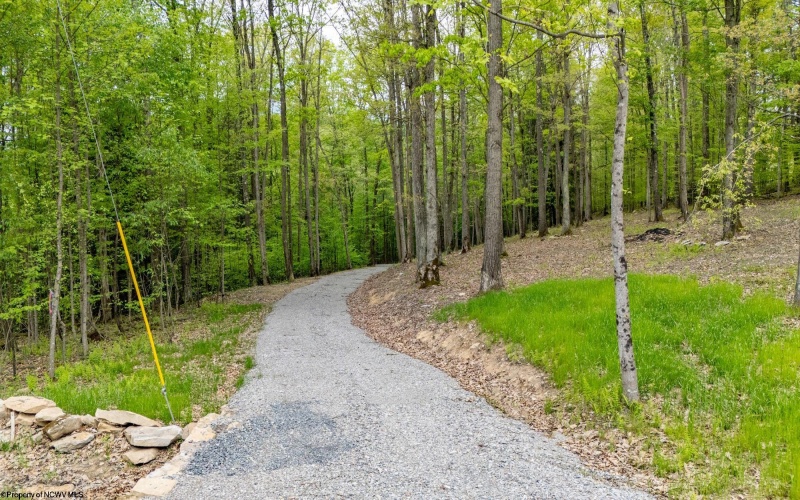 120 Laurel Loop, Bruceton Mills, West Virginia 26525, ,Lots/land,For Sale,Laurel,10159644